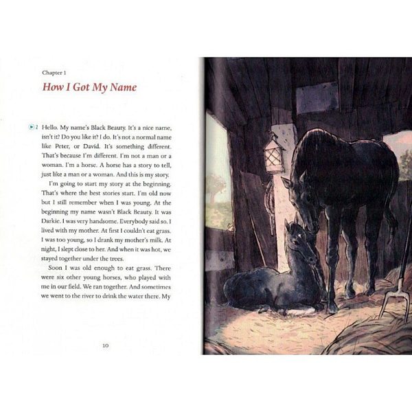 Black Beauty ~ A1 – Image 3