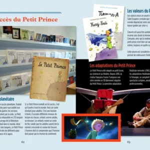 Le petit Prince - Lecture FLE - A1 - pages